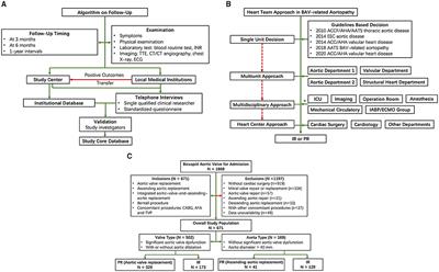 Integrated Aortic-Valve-And-Ascending-Aortic Replacement vs. Partial Replacement in Bicuspid Aortic Valve-Related Aortopathy